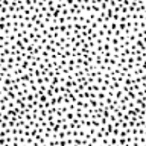 Meet your Posher, Payton